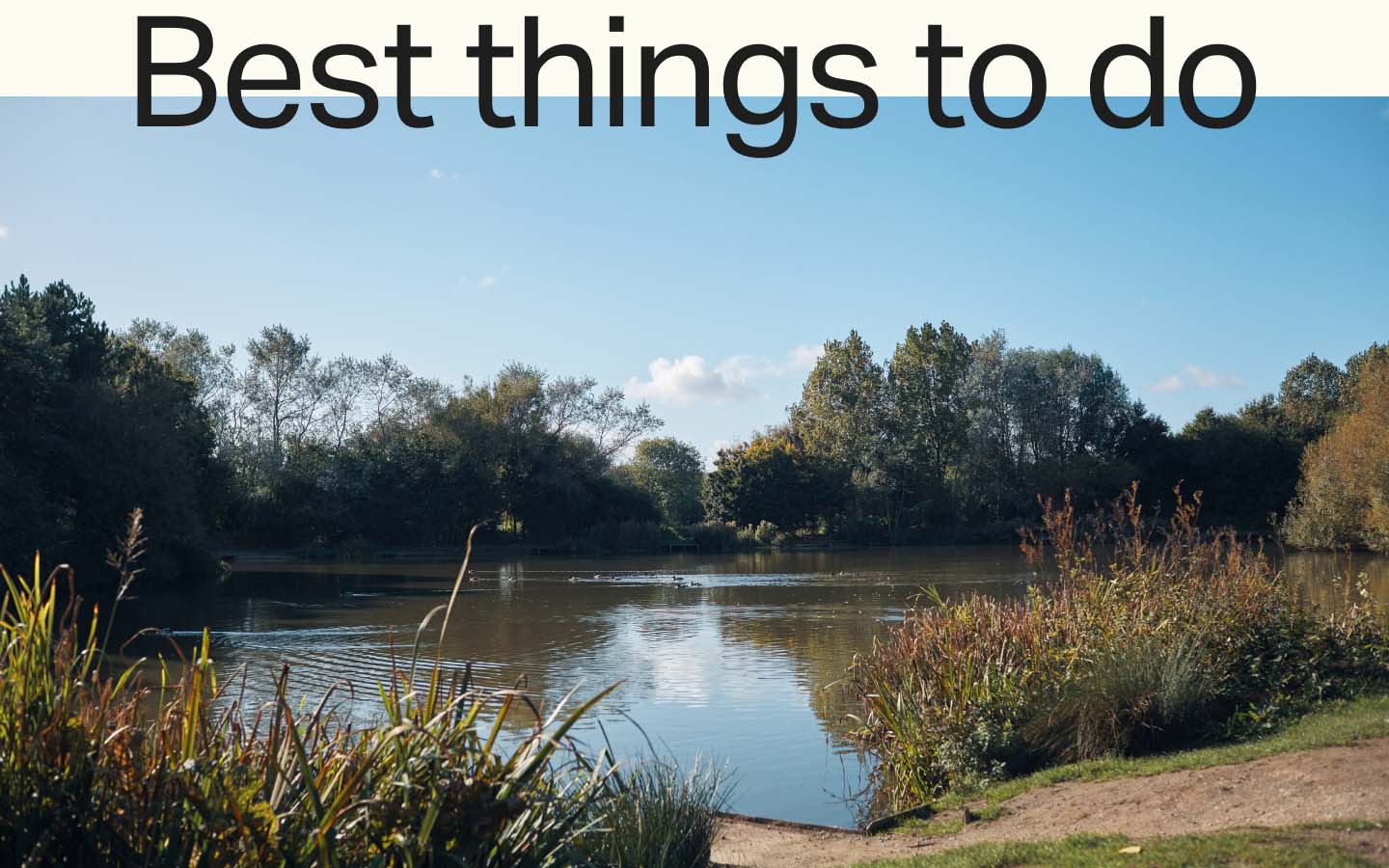 Things to Do in Hull Things to Do in Beverley Strata
